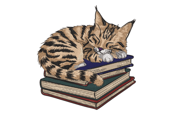 Cozy Cat on Books Embroidery Review