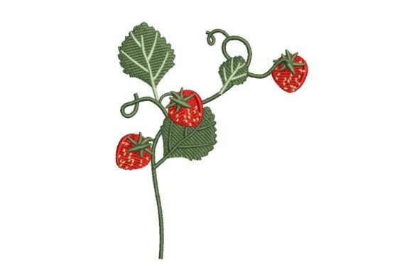 Strawberry Vine Embroidery Review for Boutique Apparel Projects
